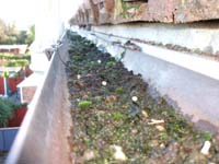 Blocked Gutter